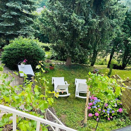 Апартаменты Luftkurort, Perle Des Neckartals Хиршхорн Экстерьер фото