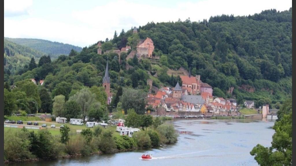 Апартаменты Luftkurort, Perle Des Neckartals Хиршхорн Экстерьер фото