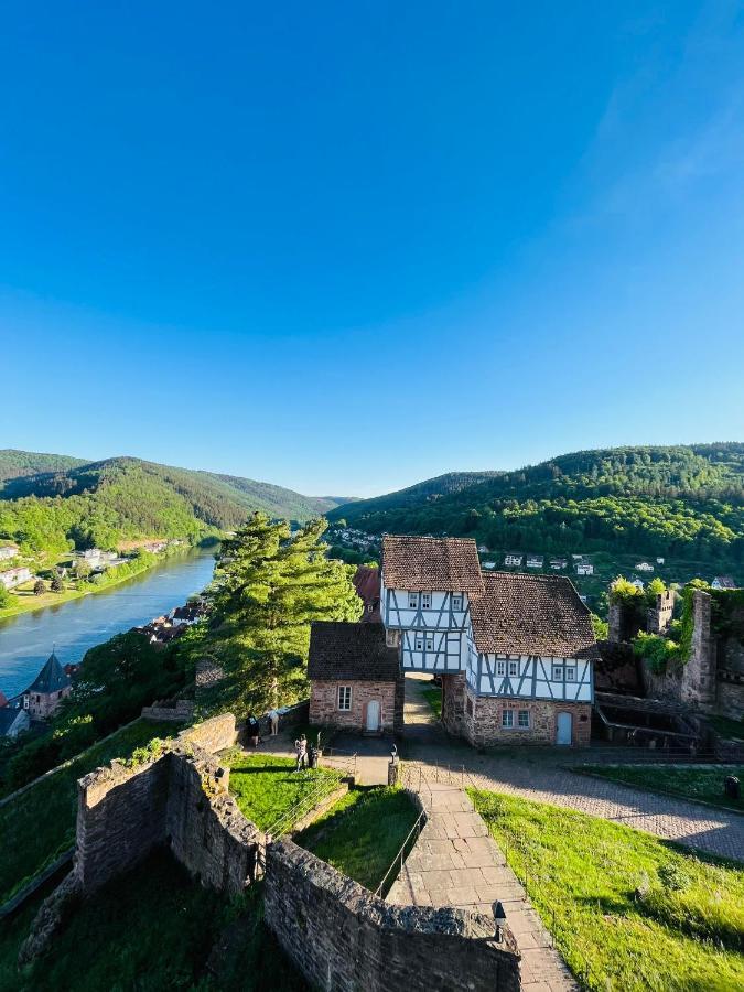 Апартаменты Luftkurort, Perle Des Neckartals Хиршхорн Экстерьер фото