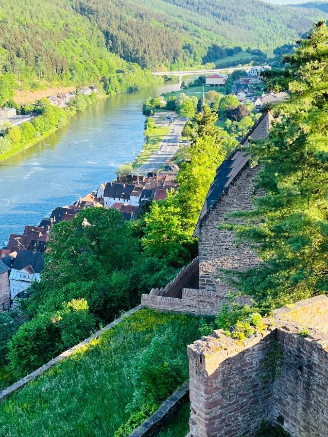 Апартаменты Luftkurort, Perle Des Neckartals Хиршхорн Экстерьер фото